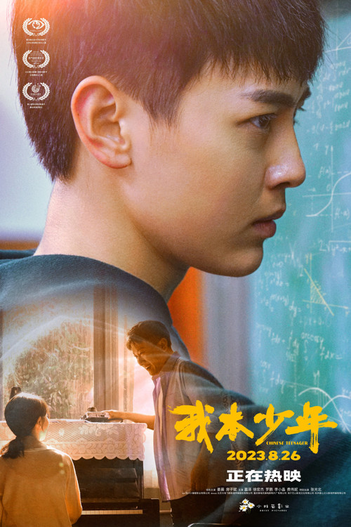 我本少年(2023)海報