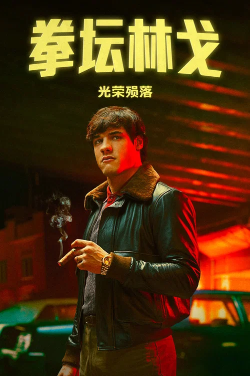 拳坛林戈:光荣殒落剧照5