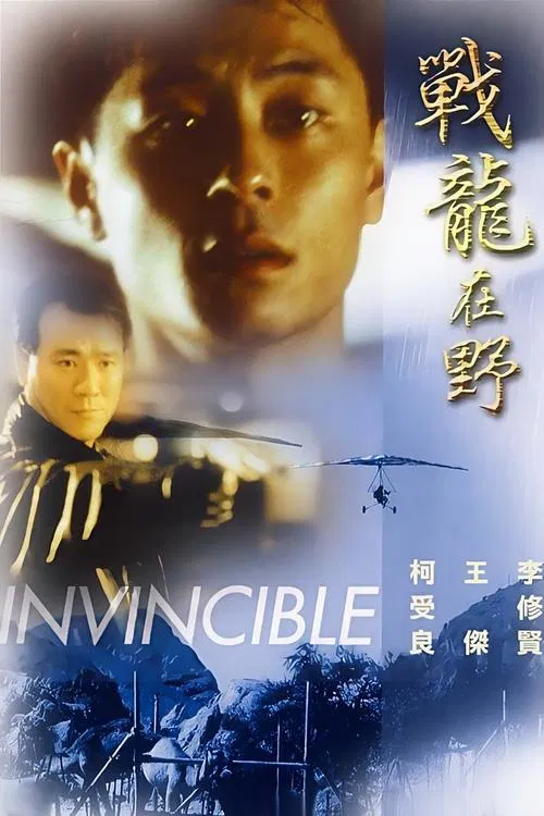 戰龍在野1992(1992)海報