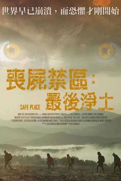 安全區(2025)海報
