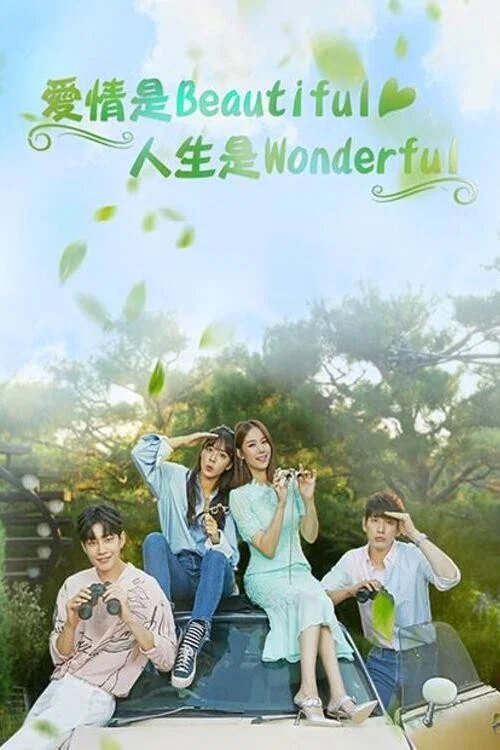 美麗愛情完美人生(2019)海報