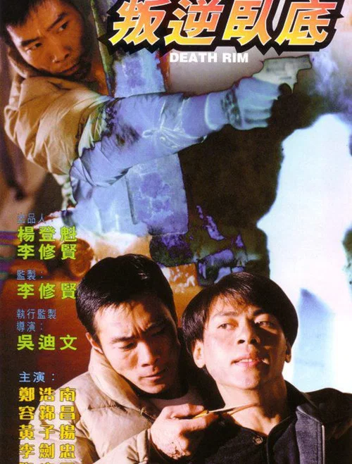 叛逆卧底(1996)海报