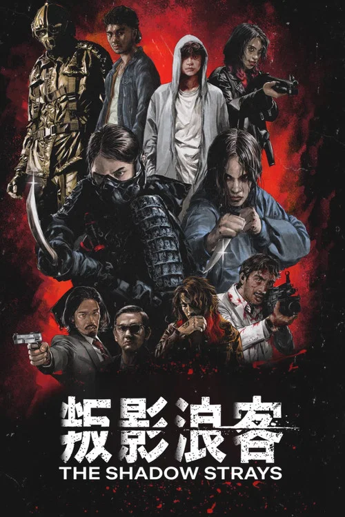 叛影浪客(2024)海报