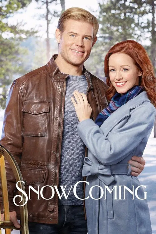 雪來了(2019)海報