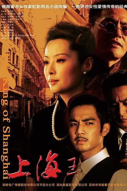 上海王2008(2008)海報