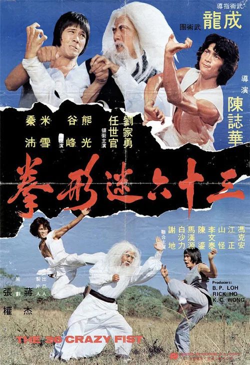 三十六迷形拳(1977)海报