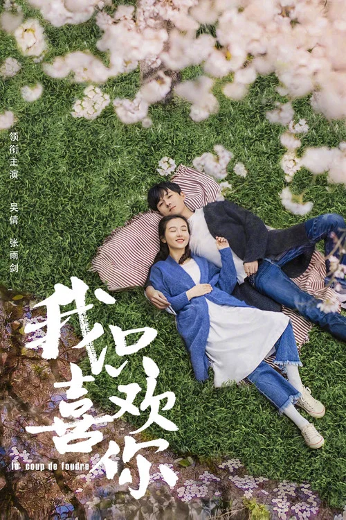 我只喜歡你(2019)海報