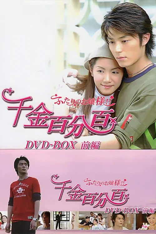 千金百分百(2003)海报