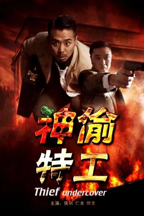 神偷特工(2013)海報