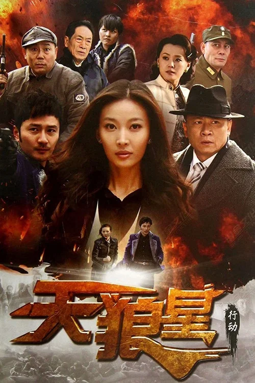 天狼星行動(2013)海報