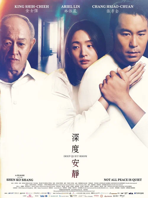 深度安静(2025)海报