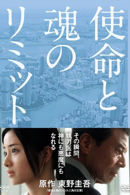 界限2013(2011)海报