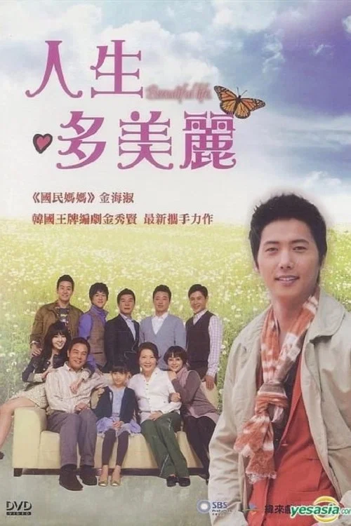 人生真美麗2010(2010)海報
