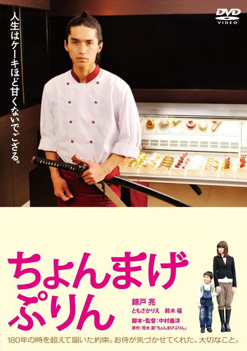 月代头布丁(2010)海报