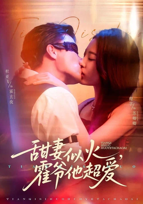 索愛(2025)海報