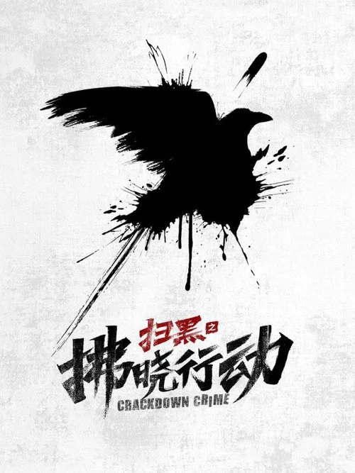 扫黑行动(2007)海报