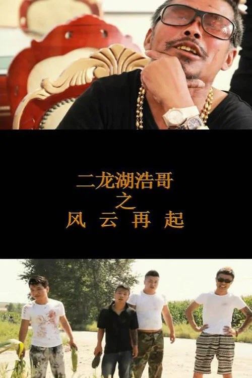 二龙湖浩哥之风云再起(2014)海报