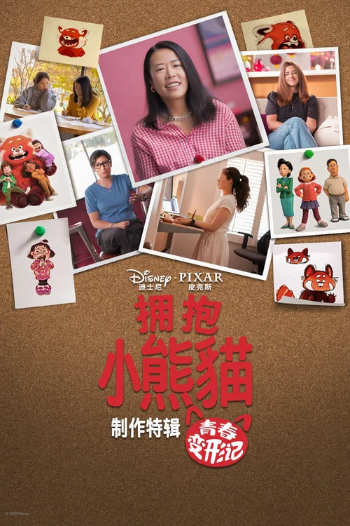 拥抱小熊猫:青春变形记背后的故事海报