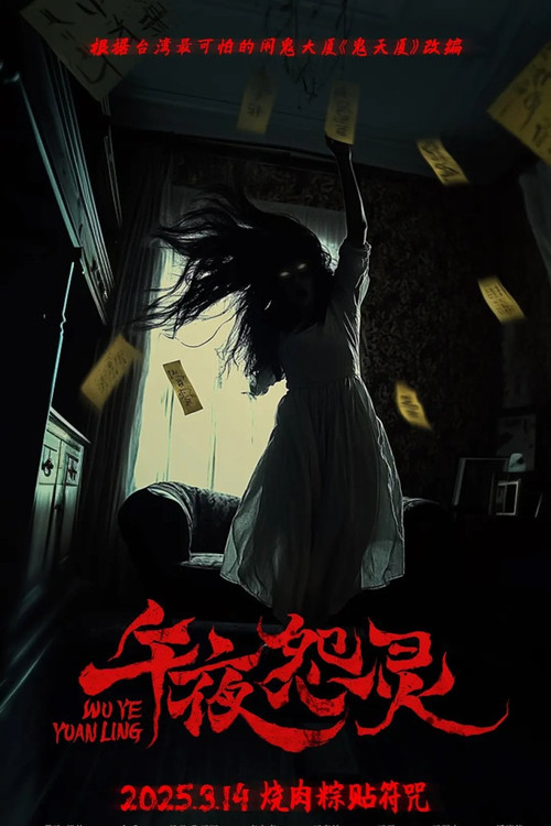 午夜怨灵剧照2