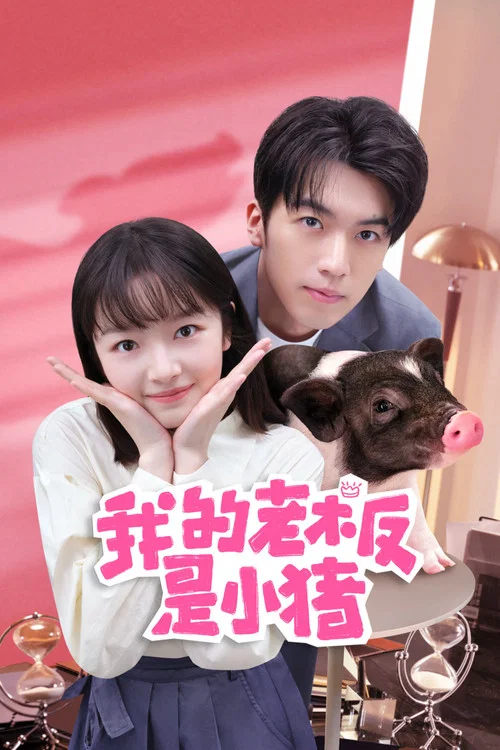我的老闆是小豬(2024)海報
