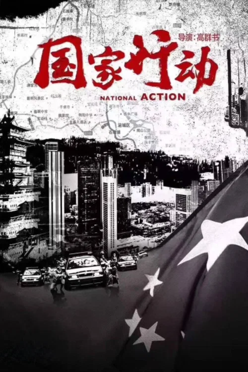 国家行动(2009)海报