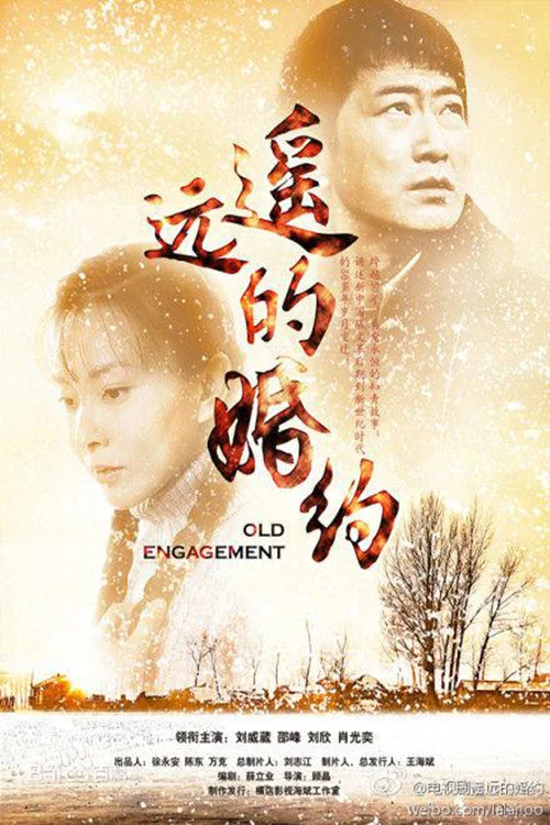 遙遠的愛(2013)海報