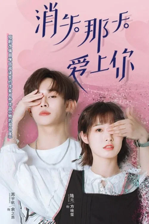 消失那天愛上你(2022)海報
