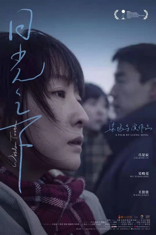 日光之下(2020)海報