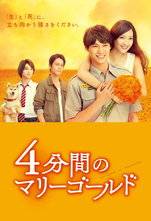 四分鐘的金盞菊(2019)海報