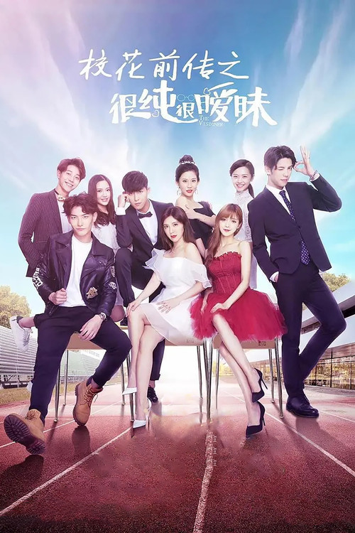 校花前傳之很純很曖昧(2017)海報