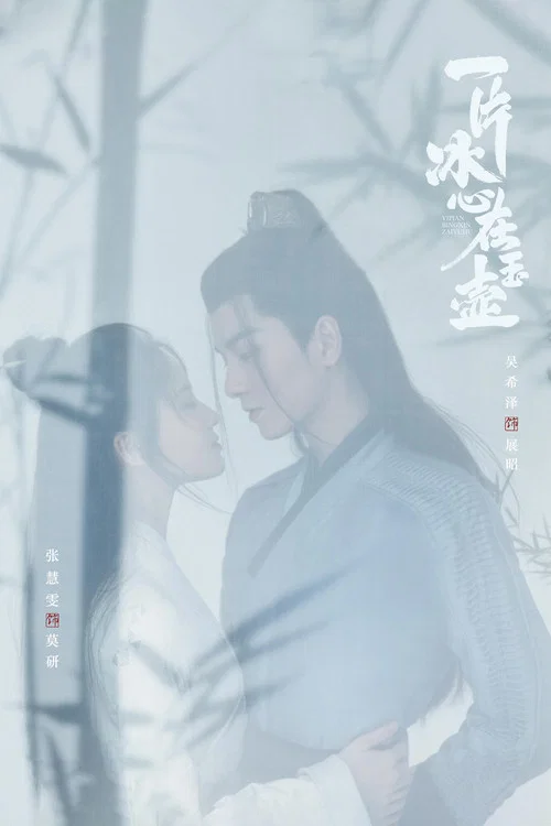 一片冰心在玉壺(2021)海報