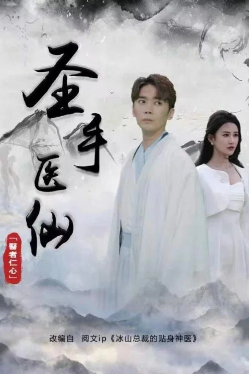聖手醫聖(2023)海報