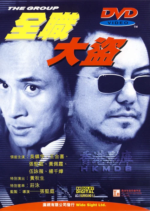 全职大盗(1998)海报