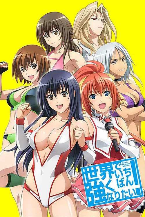 想成為世界最強(2013)海報