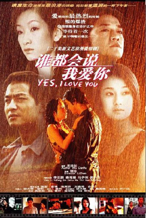 誰都會說我愛你(2003)海報