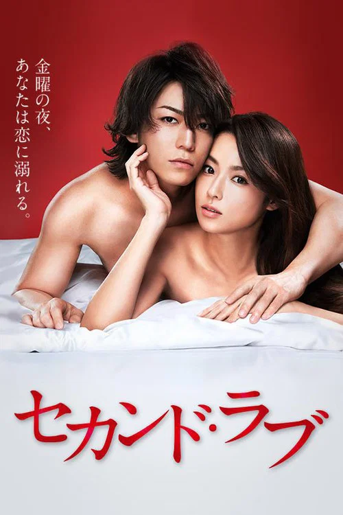 第二爱情(2015)海报