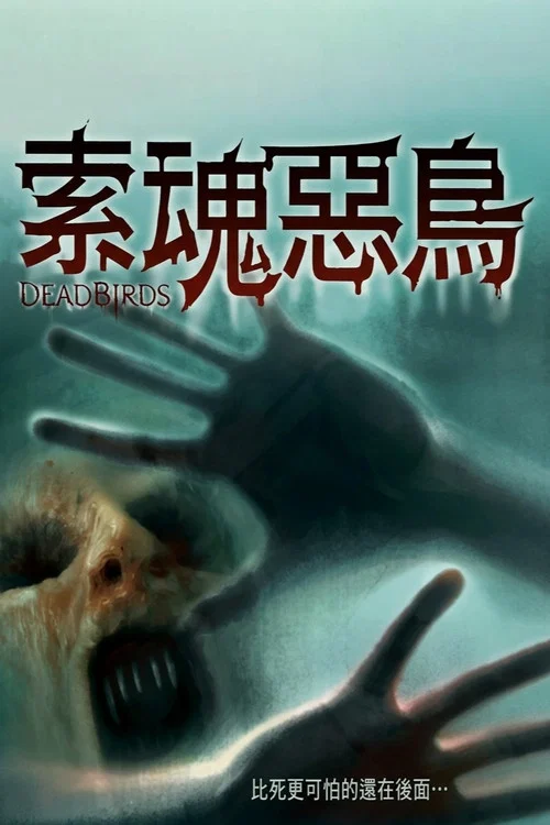 索魂惡鳥(2005)海報