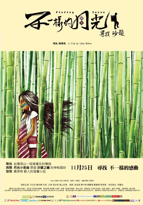 不一样的月光(2011)海报
