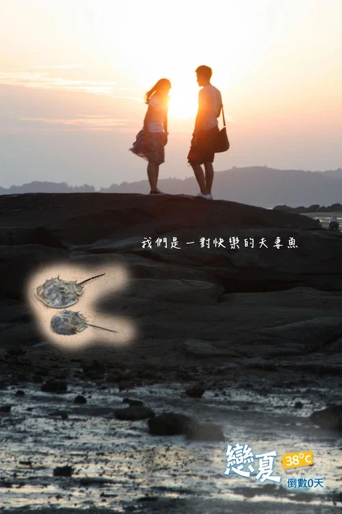 恋夏38℃(2012)海报