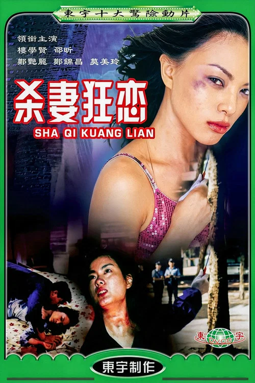 为你痴狂(1997)海报