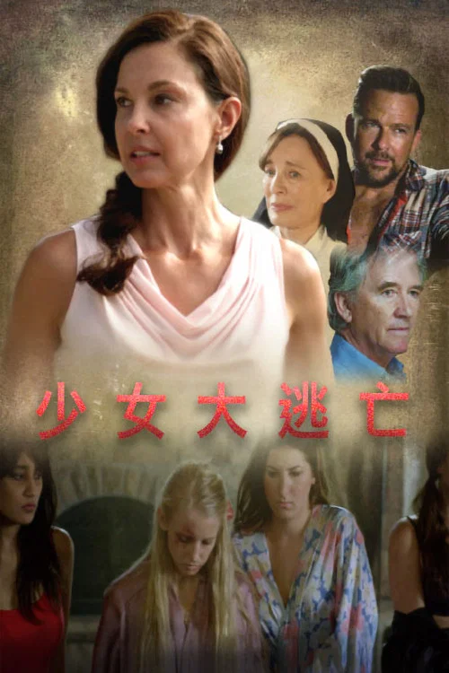 网络贩卖少女(2017)海报