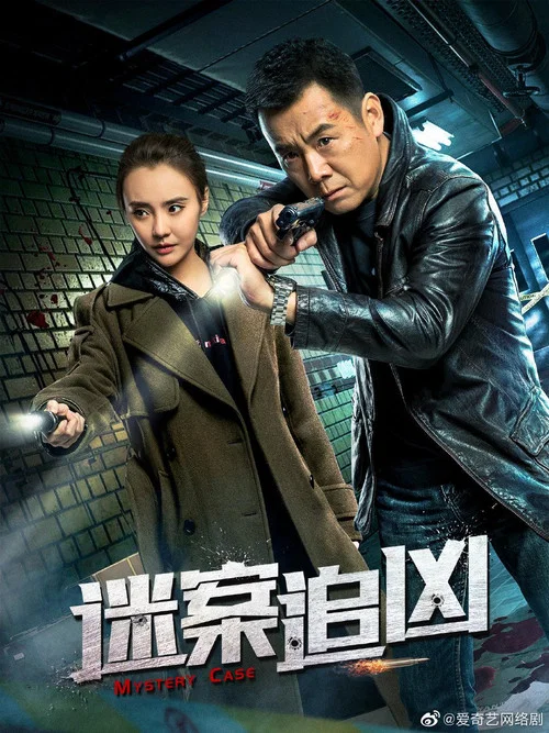 迷案追兇(2019)海報