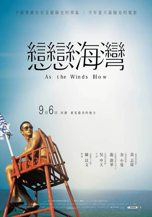 恋恋海湾(2013)海报