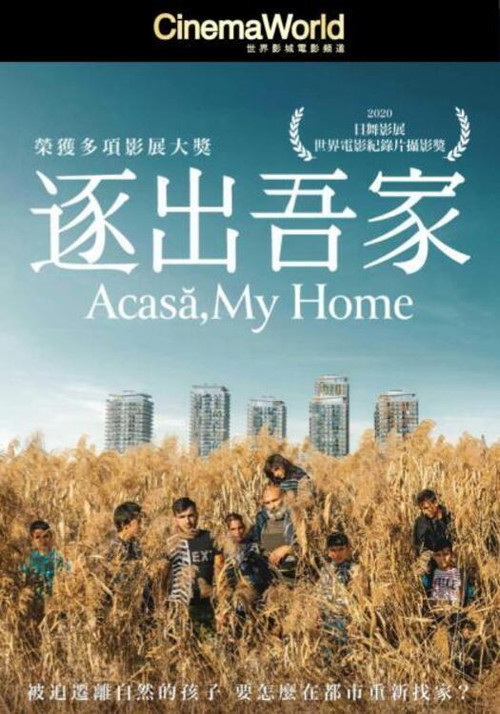 阿卡萨,我的家(2020)海报