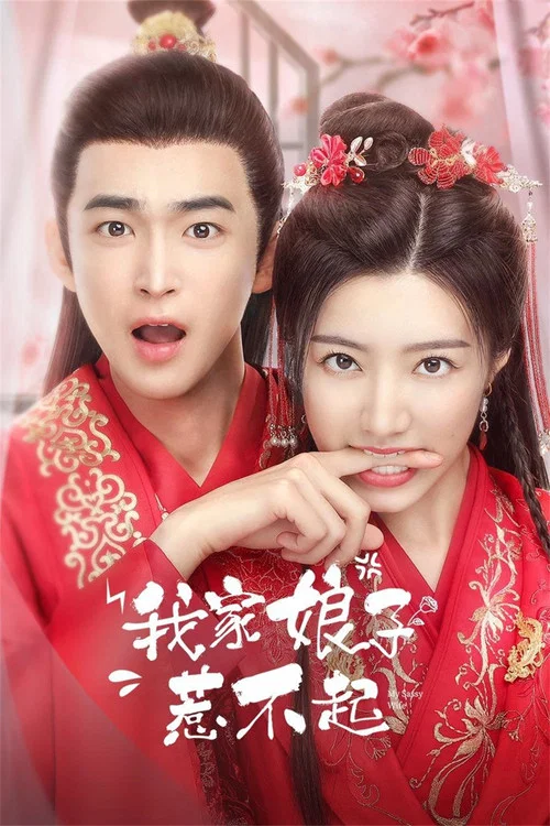 我家娘子惹不起(2024)海報