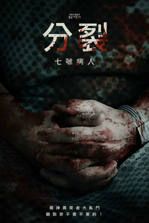 七號病人(2016)海報