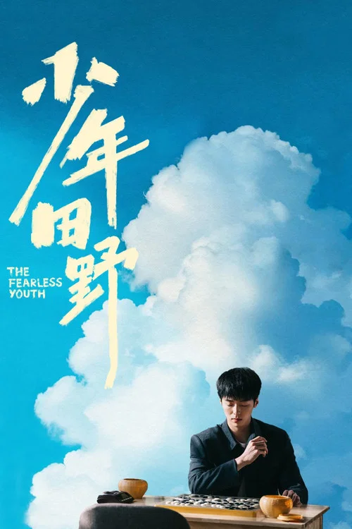 少年田野(2025)海報