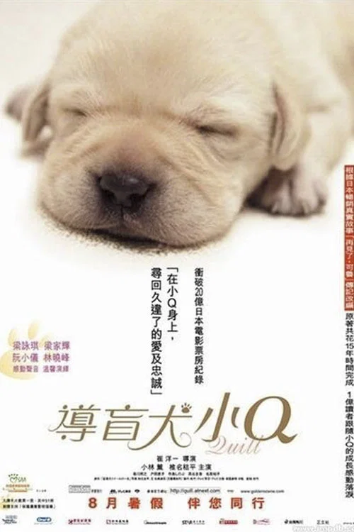 導盲犬小Q(2004)海報