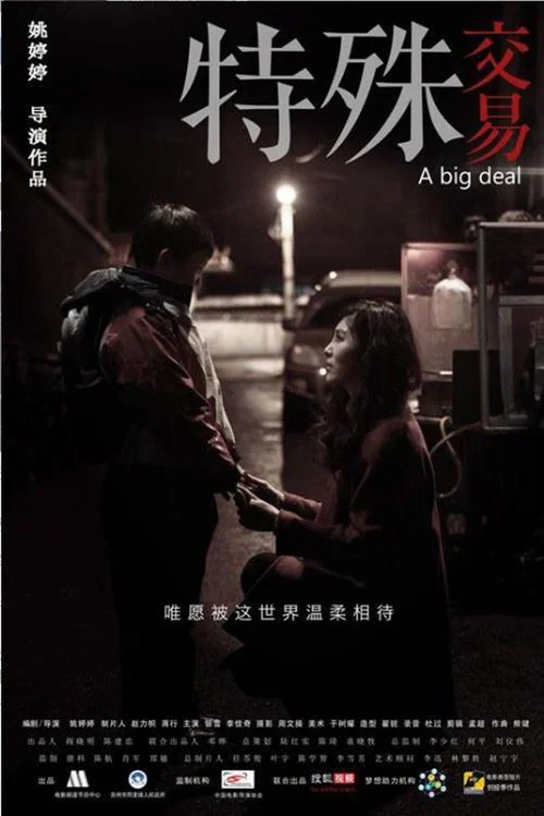 特殊交易(2013)海報