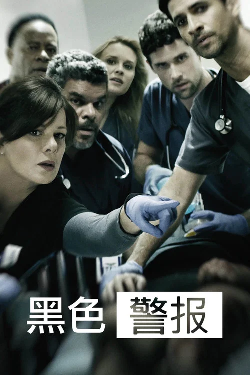 黑色警戒(2015)海報